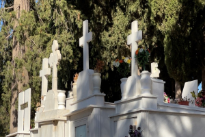 Μυτιλήνη: Απαγχονισμένος μέσα στο κοιμητήριο της Αγίας Κυριακής βρέθηκε 36χρονος