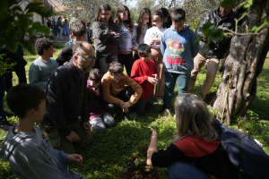 Ζωντανό εργαστήριο για τον ελαιώνα της Λέσβου, μαθητές και φορείς σε βιωματικές δράσεις