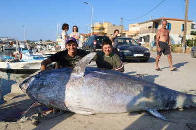 Χίος: Ηρωική πράξη νεαρών μετατράπηκε σε αλληλεγγύη – 350 κιλά τόνου μοιράστηκαν στους κατοίκους