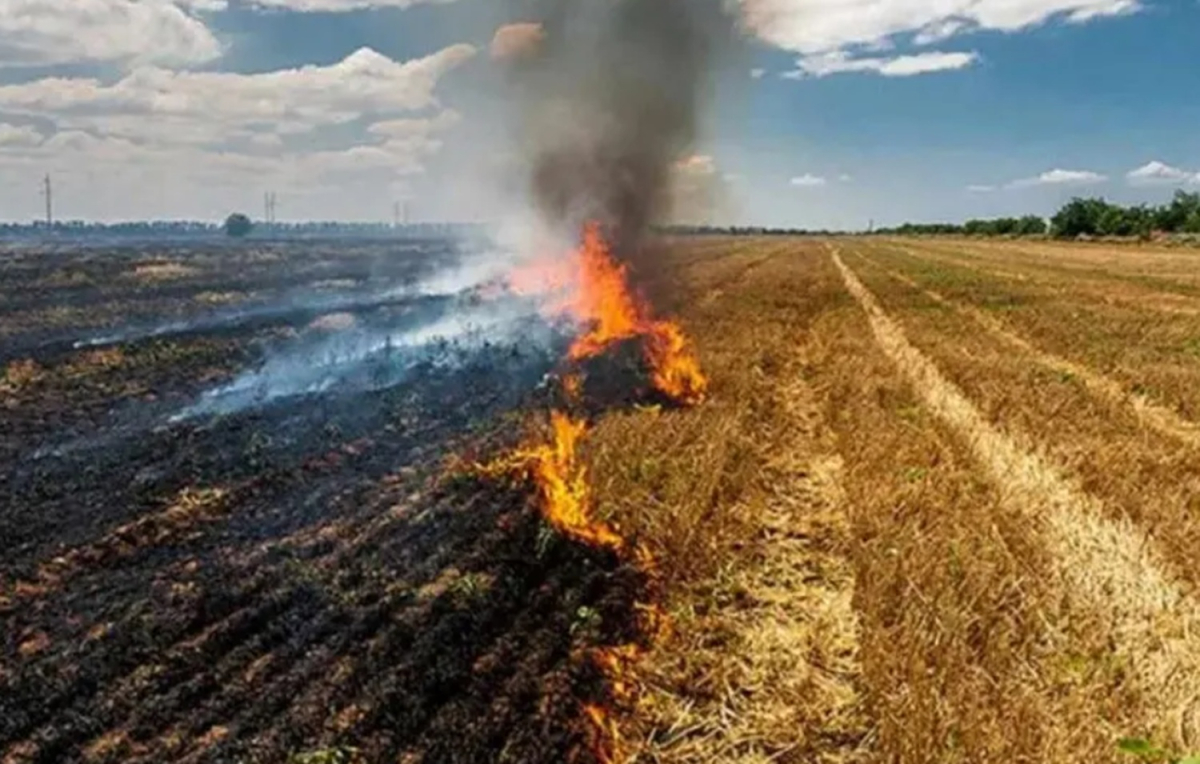 Σάμος: Εγκλωβίστηκε και έχασε τη ζωή της ηλικιωμένη κατά τη διάρκεια καύσης αγροτικών υπολειμμάτων
