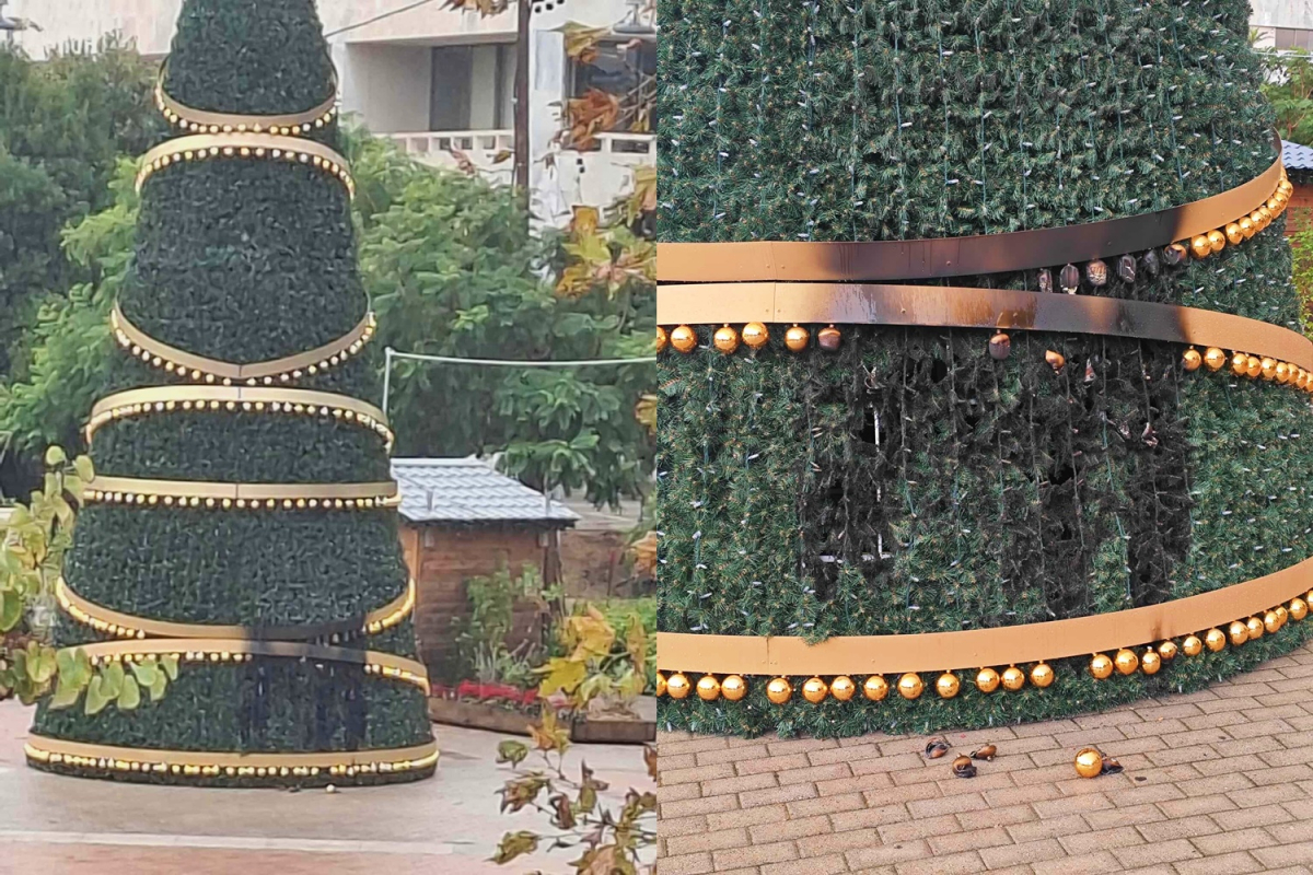 Χίος: Αποπειράθηκαν να κάψουν το χριστουγεννιάτικο δέντρο της πόλης (pics)