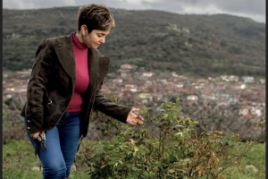 Επέστρεψε στη Λέσβο, για να παράγει προϊόντα από τριαντάφυλλο: «Η όσφρηση και η γεύση ανακαλούν μνήμες ανθρώπων»