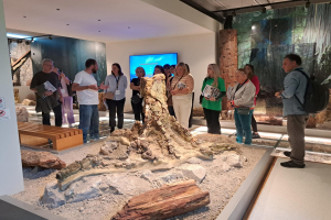 Η ERUA στη Λέσβο, εντυπωσίασε το Απολιθωμένο Δάσος τους κορυφαίους ακαδημαϊκούς της Ευρώπης