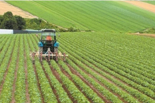 Δήμος Δυτικής Λέσβου: Μειώνονται κατά 90% τα δημοτικά τέλη σε εγκαταστάσεις αγροτών και κτηνοτρόφων