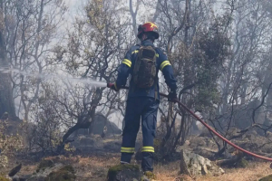 Λέσβος: 18 μήνες φυλακή σε 20χρονο για τη μεγάλη φωτιά στη Βρίσα – Του αναγνωρίστηκαν ελαφρυντικά