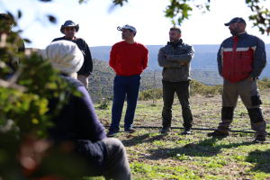 Ξεκινούν τα μαθήματα για τα μαστιχόδεντρα με στόχο βιώσιμη καλλιέργεια και στήριξη παραγωγών Χίου τοπικών