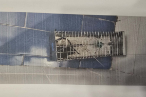 Σάμος: Λουκέτο για τρεις μέρες στο Ειδικό Σχολείο – «Σε κίνδυνο οι ζωές των ΑμεΑ παιδιών μας» (εικόνες)