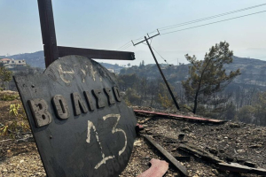 Αποκατάσταση των καμένων εκτάσεων στη Χίο με τη στήριξη της Εθνικής Τράπεζας