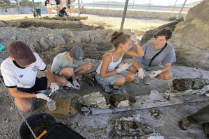 Μαθητές από Γερμανία και Πολωνία «μαγεύτηκαν» από το Απολιθωμένο Δάσος Λέσβου